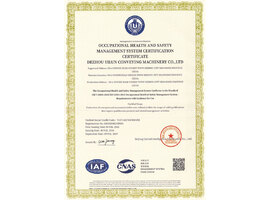 Ocupational Health Safety Management Svstem Certification